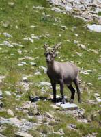 Mallory VERRIER - MALLORY VERRIER