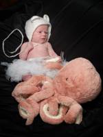 Sebastien JOUBERT - JOUBERT